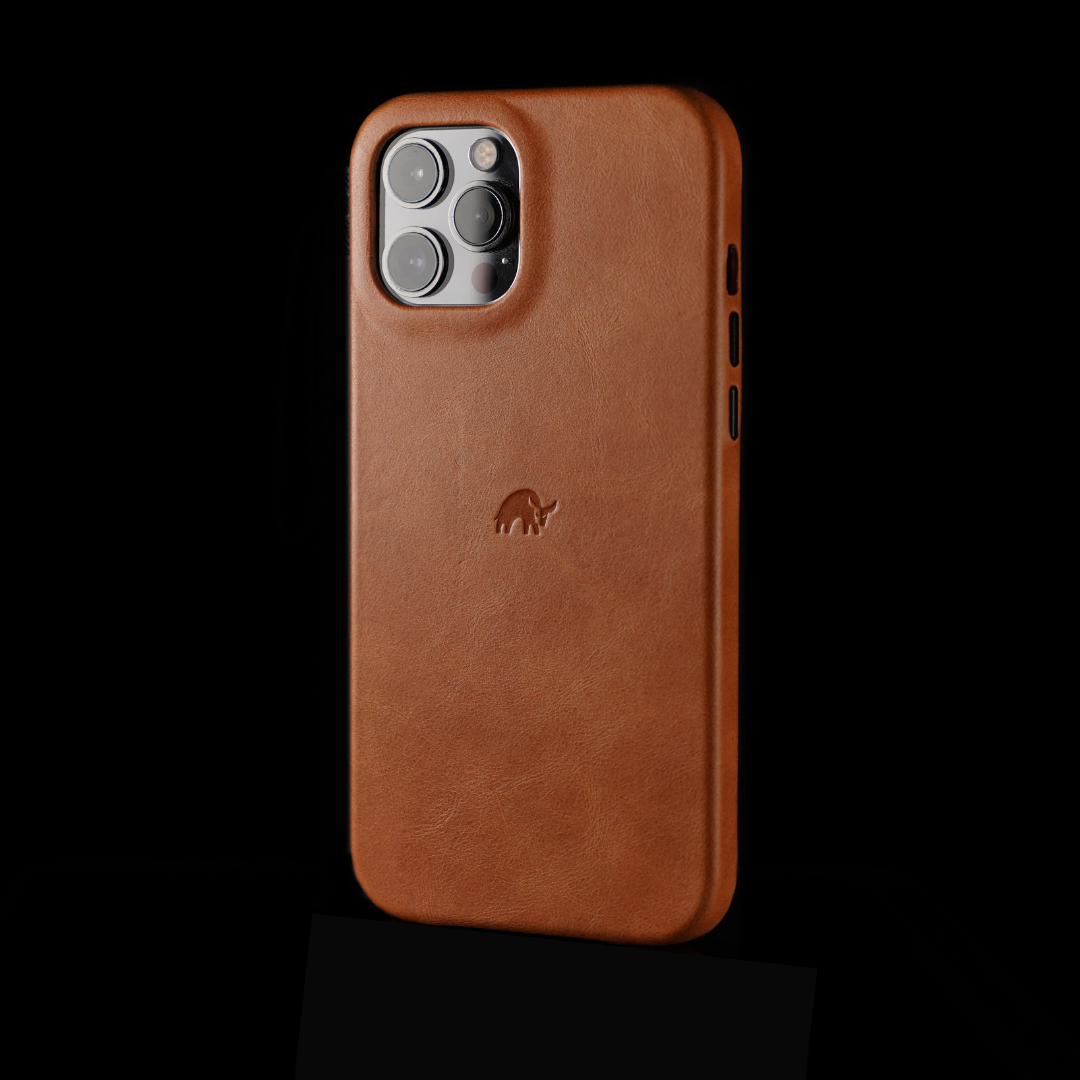 The Minimalist Case - SIENNA