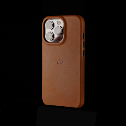 The Minimalist Case - SIENNA